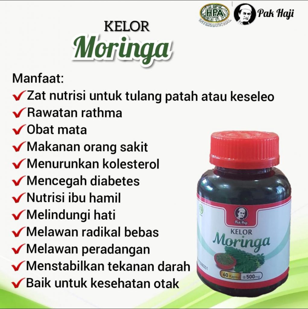 Kelor Moringa