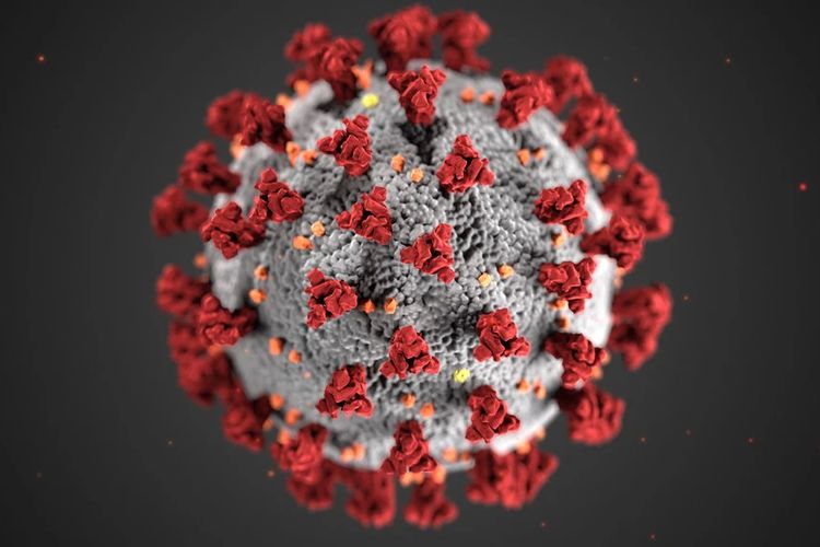 Corona Virus