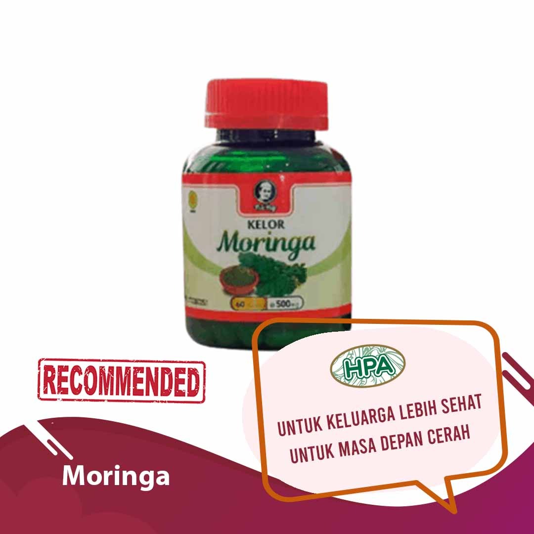 Kelor Moringa