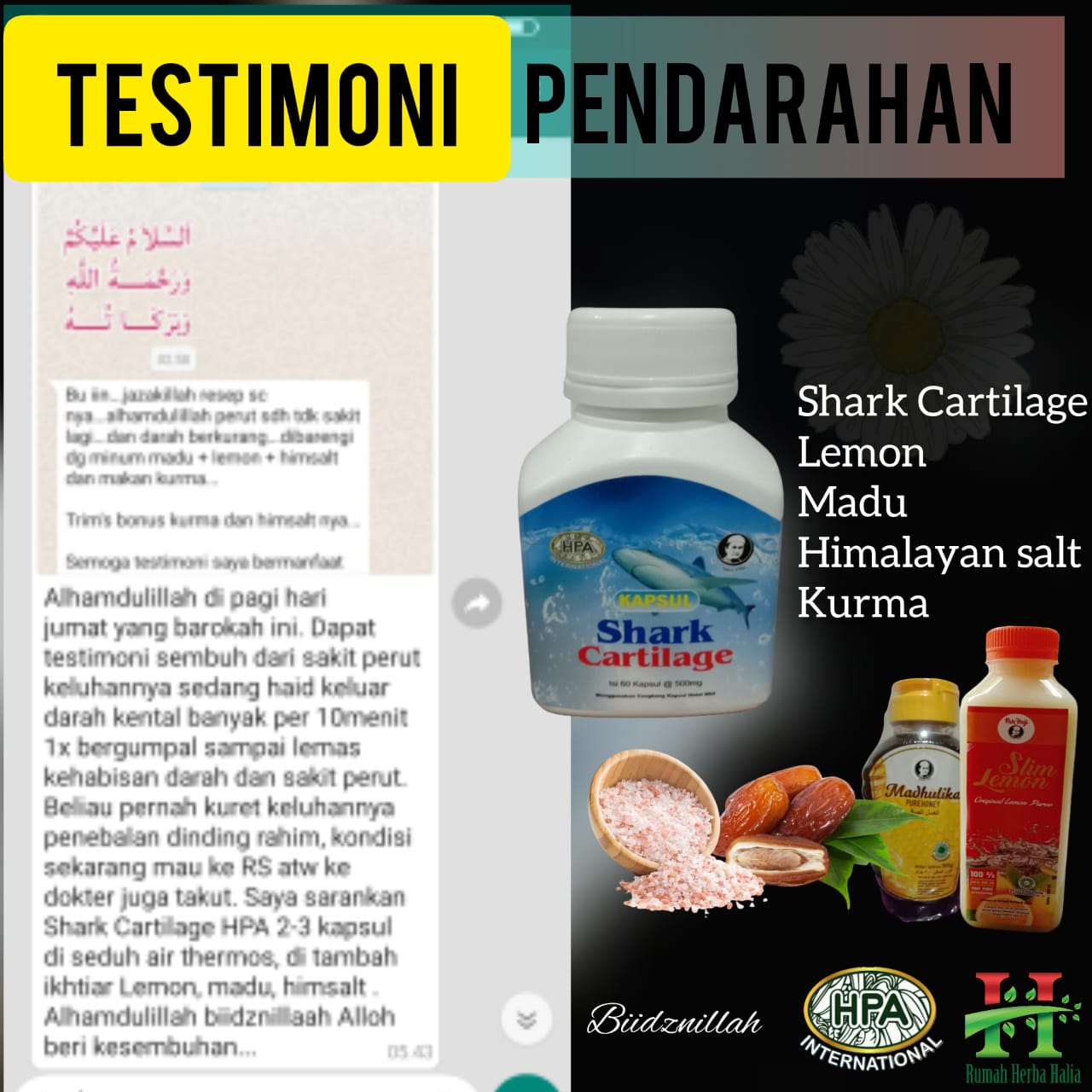 Testimoni Pendarahan