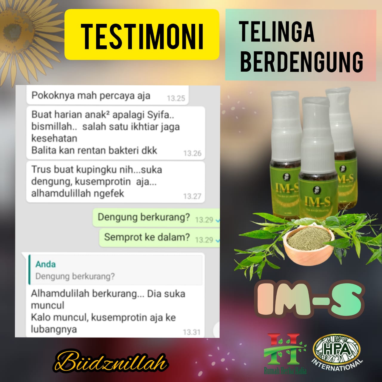 Testimoni Telinga Berdengung dengan IM-S