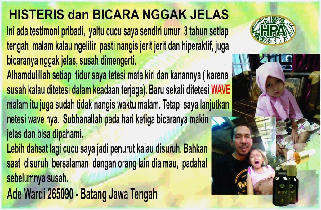 Testimoni WAVE untuk anak yang jadi lancar berbicara