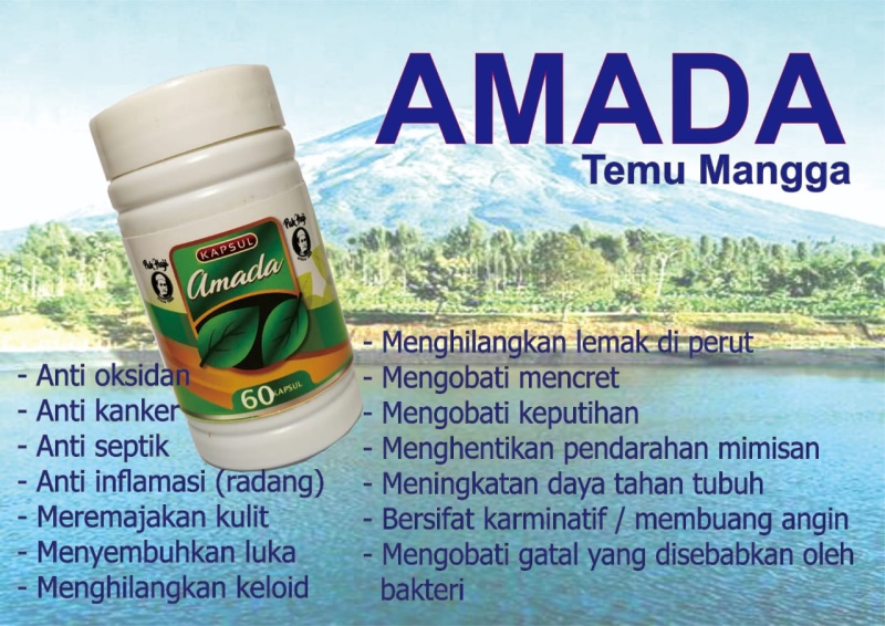 Temu Mangga/Amada Pak Haji