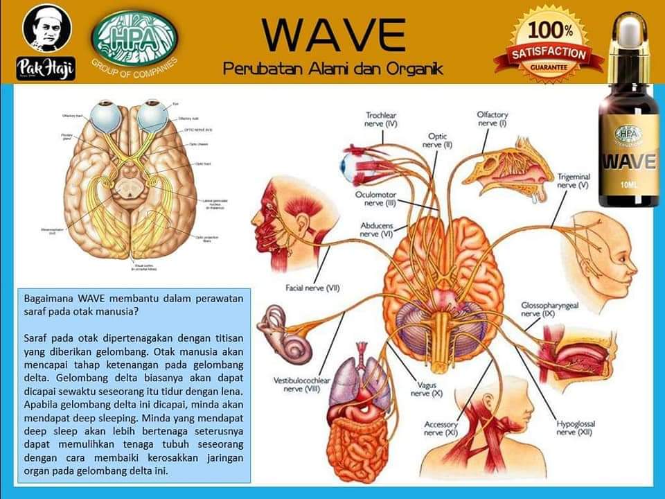 Pahami cara kerja WAVE