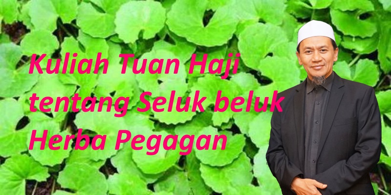 Kuliah Tuan Haji tentang Pegagan