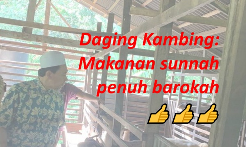 Daging Kambing: Makanan Sunnah Penuh Barokah