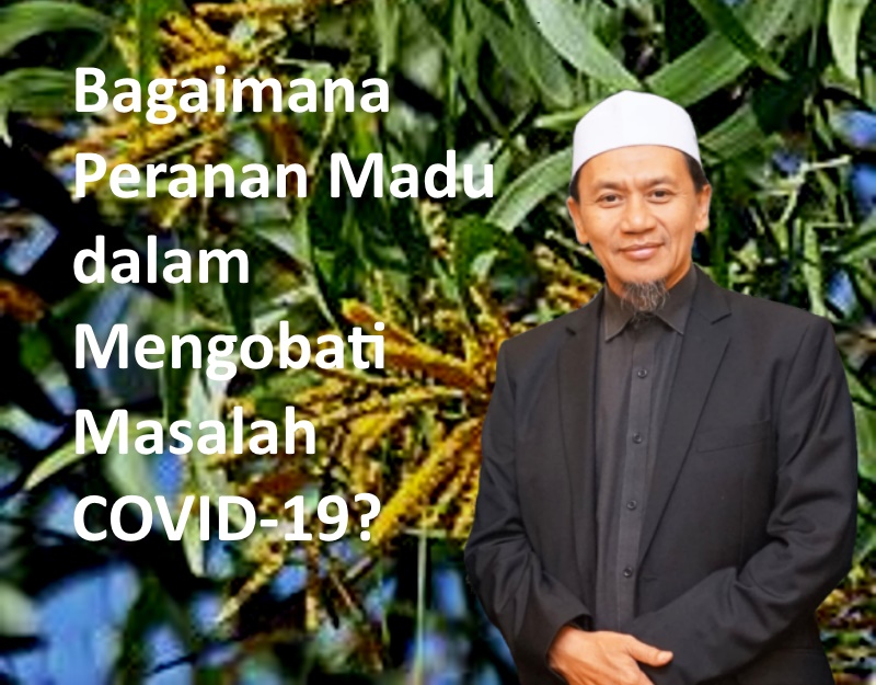 Peranan Madu dalam Mengobati Pasien COVID-19