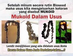 Mukoid dalam Usus