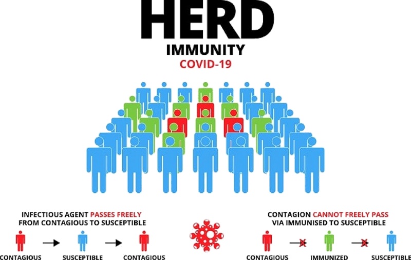 Pandangan Thibunnabawi thd HERD Immunity