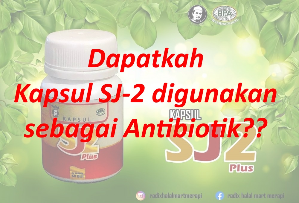 Dapatkah Kapsul SJ-2 digunakan sebagai antibiotik?