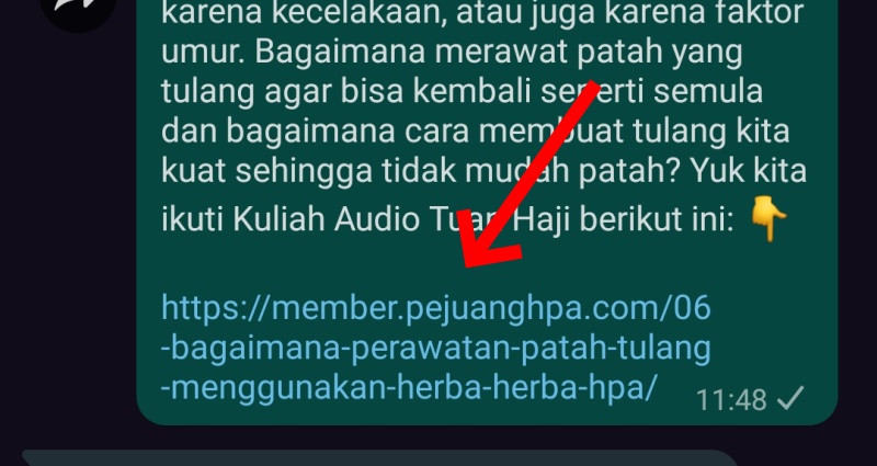 Klik tautan (tulisan warna biru) seperti yang ditunjukkan di contoh diatas