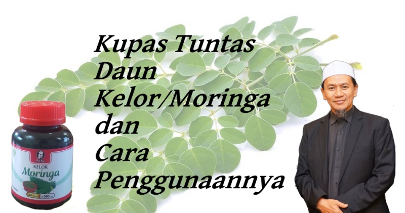 Kupas Tuntas Daun Kelor dan cara konsumsinya