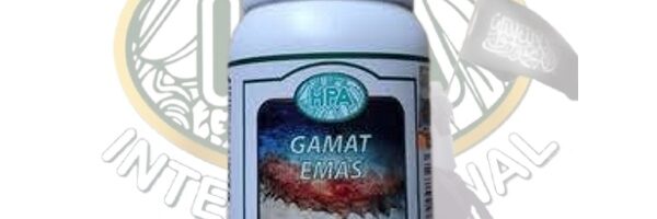 Gamat Emas - Pejuang HPA