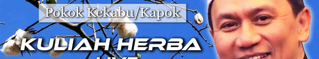Kuliah Herba Tuan Haji 29 Mei 2020 Kekabu atau Kapok