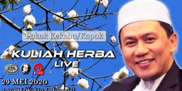 Kuliah Herba Tuan Haji 29 Mei 2020 Kekabu atau Kapok