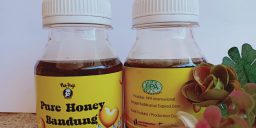 Pure-Honey-Bandung