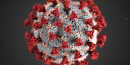 Corona Virus