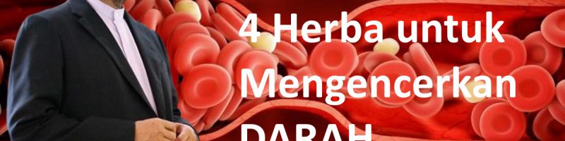 4 Herba untuk Mengencerkan DARAH