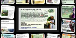 Kumpulan Testimoni WAVE