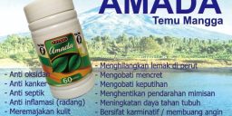 Temu Mangga/Amada Pak Haji