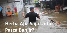 Herba Pasca Banjir