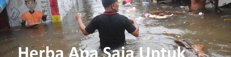 Herba Pasca Banjir