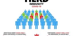 Pandangan Thibunnabawi thd HERD Immunity