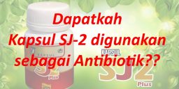 Dapatkah Kapsul SJ-2 digunakan sebagai antibiotik?