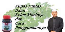 Kupas Tuntas Daun Kelor dan cara konsumsinya